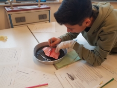 IMG-20190118-WA0010
