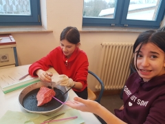 IMG-20190118-WA0012