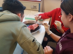 IMG-20190118-WA0018